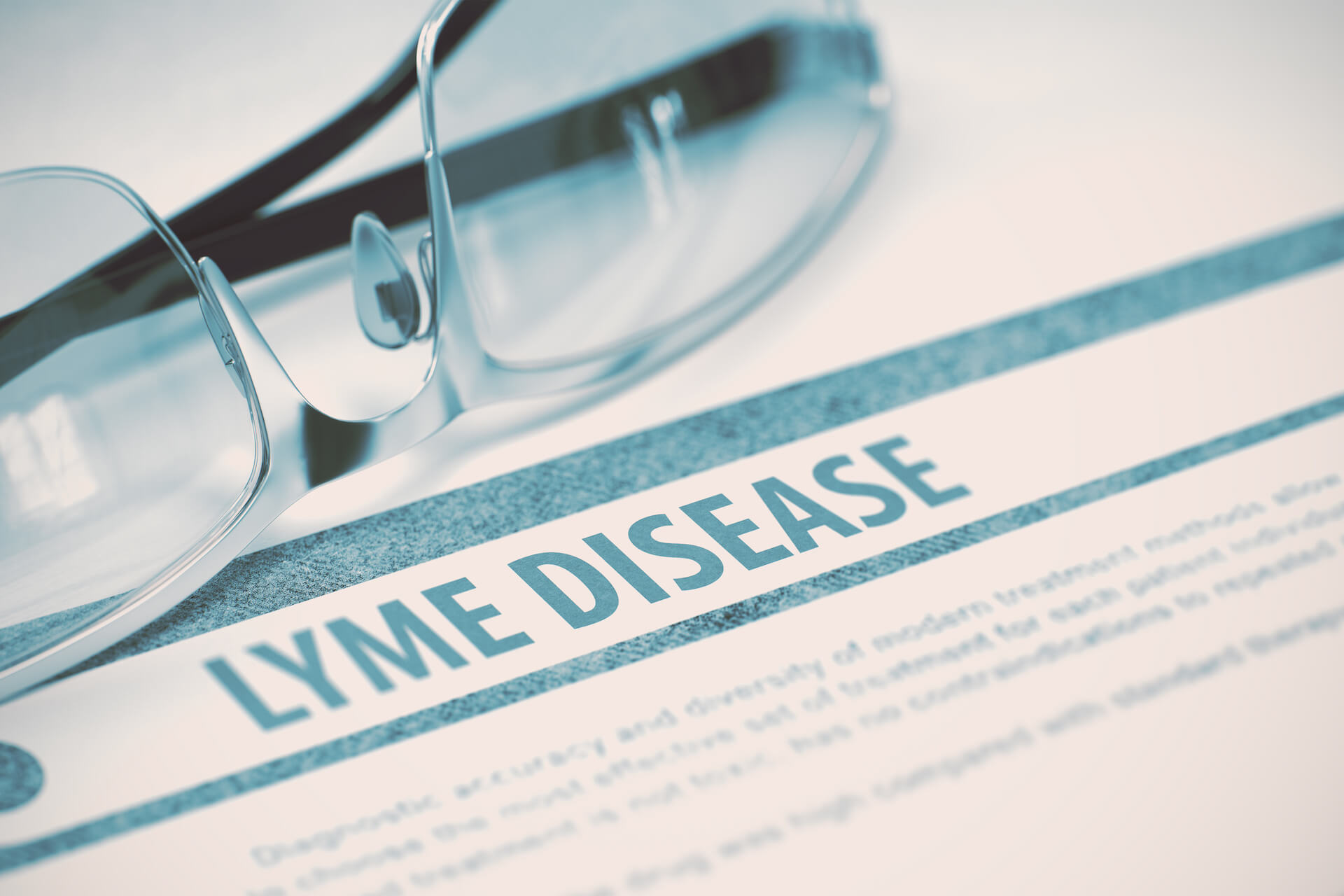 8 Facts About Lyme Disease